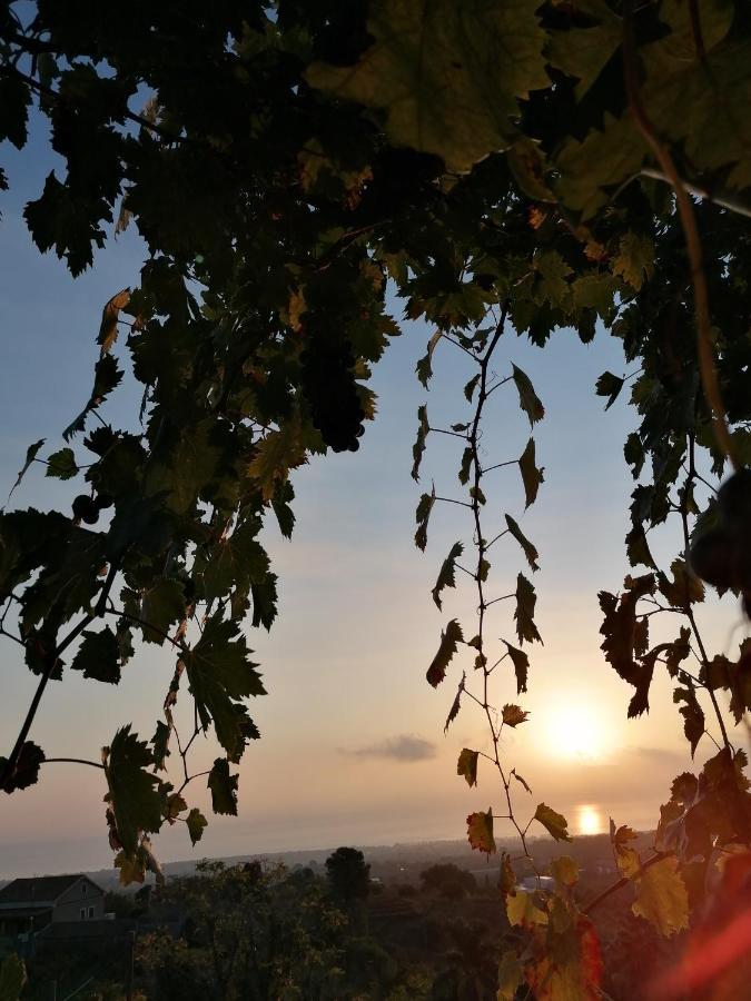Agriturismo Baglio Calanchi モーディカ エクステリア 写真